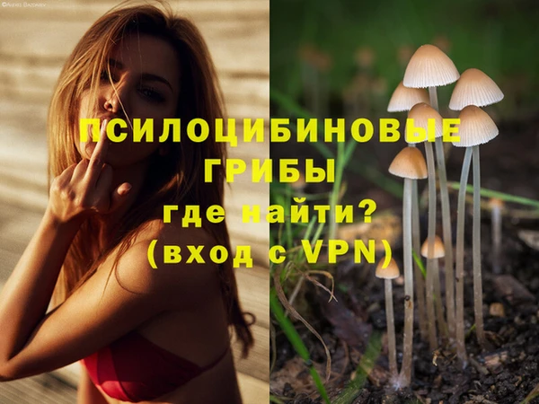 PSILOCYBIN Арсеньев