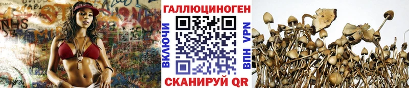 Галлюциногенные грибы GOLDEN TEACHER  Урус-Мартан 
